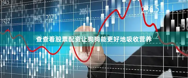 查查看股票配资让狗狗能更好地吸收营养