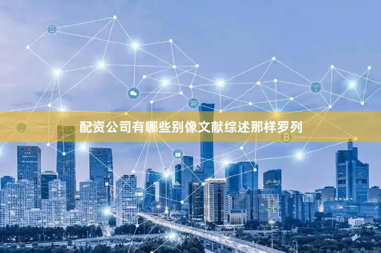 配资公司有哪些别像文献综述那样罗列