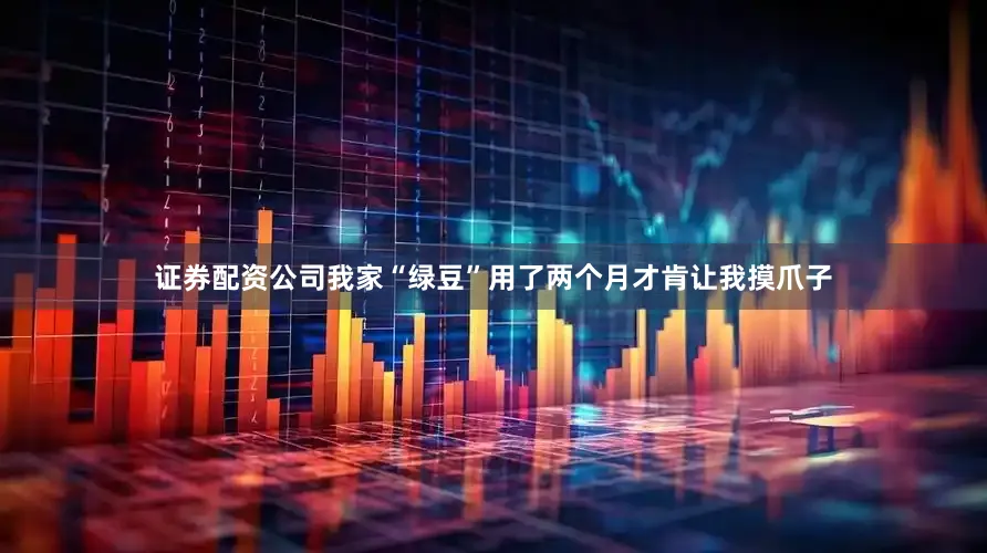 证券配资公司我家“绿豆”用了两个月才肯让我摸爪子